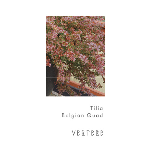 バテレ / ティリア (Belgian Quad) 350ml缶 [VERTERE / Tilia #1]