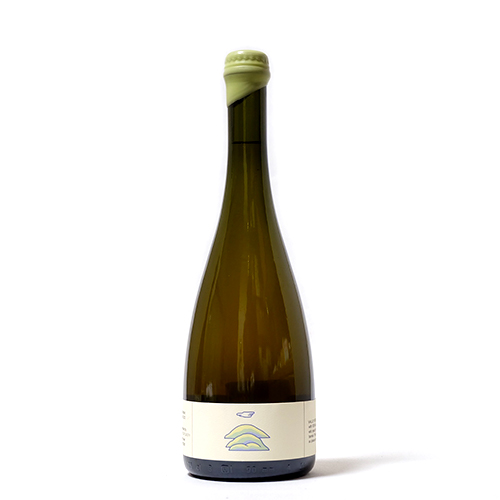 ハドソンバレー / バレービア スプリング 2023 (Sour Farmhouse Ale) 750ml瓶 [Hudson Valley / Valley Beer Spring 2023]