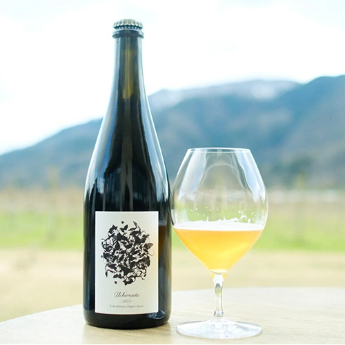 カーブドッチブルーイング / クロワ アルシミスト 2023 (Wine-inspired Herb Ale) 750ml瓶 [Cave D’Occi Brewing / CROIX Alchimiste 2023]