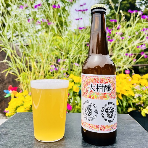 反射炉ビヤ x DD4D / 大柑醸 (Sake Yeast Beer) 330ml瓶 [Hansharo Beer x DD4D Brewing / Daikanjo]
