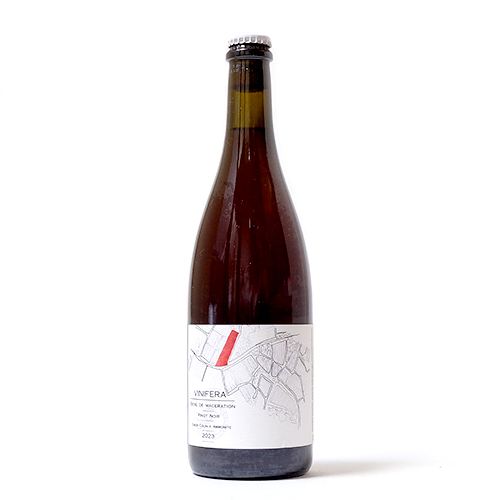 ブラッスリー・アンモナイト / ヴィニフェラ - ビエール・ド・マセラシオン・ピノノワール 2023 (Barrel Aged Wild Ale with Pinot Noir Grape) 750ml瓶 [Brasserie Ammonite / Vinifera Biere De Maceration Pinot Noir Simon Colin x Ammonite 2023]
