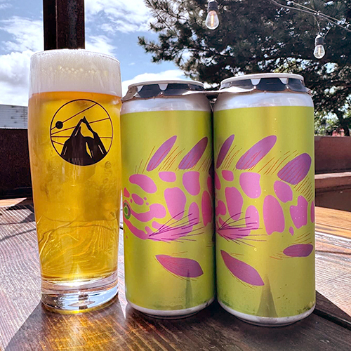 ストラクチャーズ / ヴィヴィッド (West Coast IPA) 473ml缶 [Structures Brewing / Vivid]
