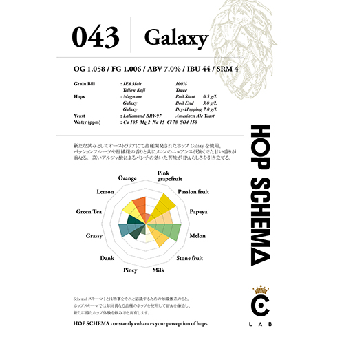 クラフトビアベースブルーイングラボ / ホップスキーマ 043 ギャラクシー 330ml瓶 [CBB Brewing Lab / Hop Schema 043 - GALAXY]