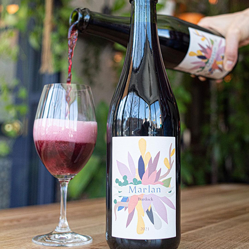 バーダック / 2021 マーラン (Merlot Skin Grape Ale) 750ml瓶 [Burdock / Marlan]