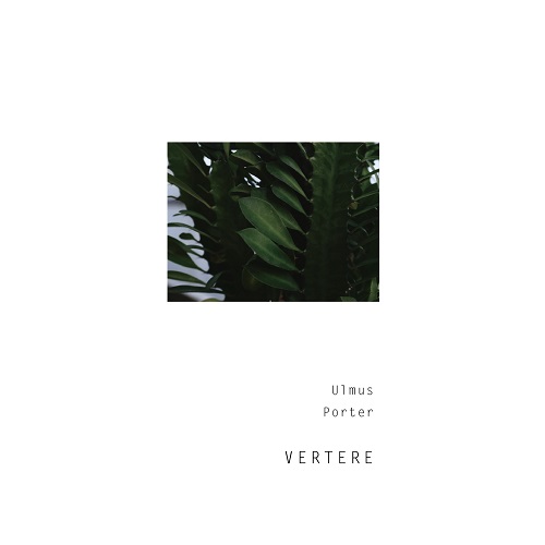 バテレ / ウルムス (Porter) 500ml缶 [VERTERE / Ulmus #6]