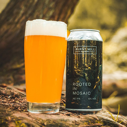 バーントミル / ルーテッドインモザイク (New England IPA) 440ml缶 [Burnt Mill / Rooted in Mosaic]