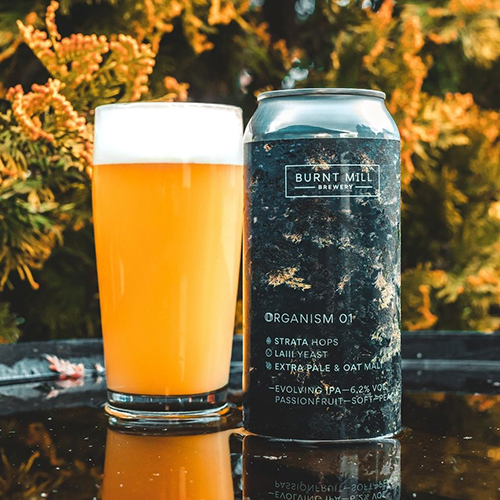 バーントミル / オーガニズム01 (New England IPA) 440ml缶 [Burnt Mill / Organism 01]