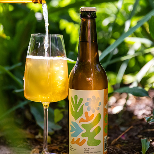 ベルウッズ / ヴァインズ: リースリング 2021 (Grape Ale w/ Riesling) 500ml瓶 [Bellwoods / Vines: Riesling 2021]